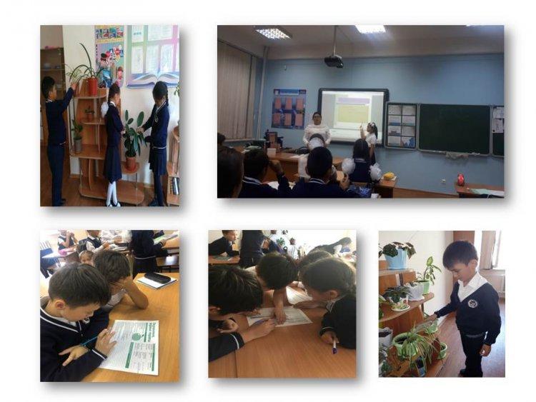 «Эко сағат» акциясы